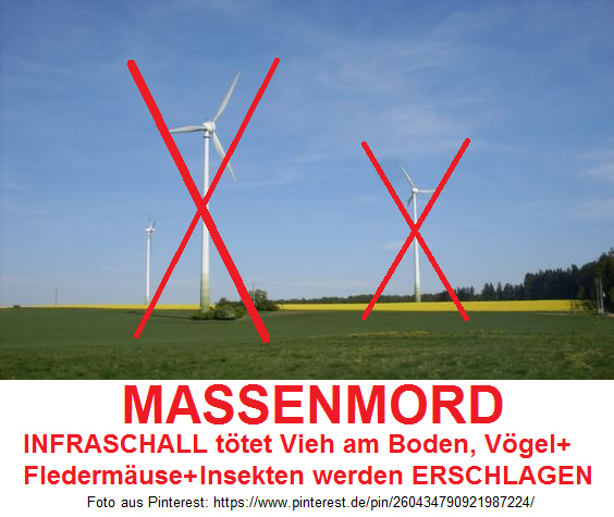 Drei Windr�der auf
              Feldern ist MASSENMORD: Das Vieh stirbt durch Infraschall,
              und V�gel+Flederm�use+Insekten werden zu Millionen
              ERSCHLAGEN