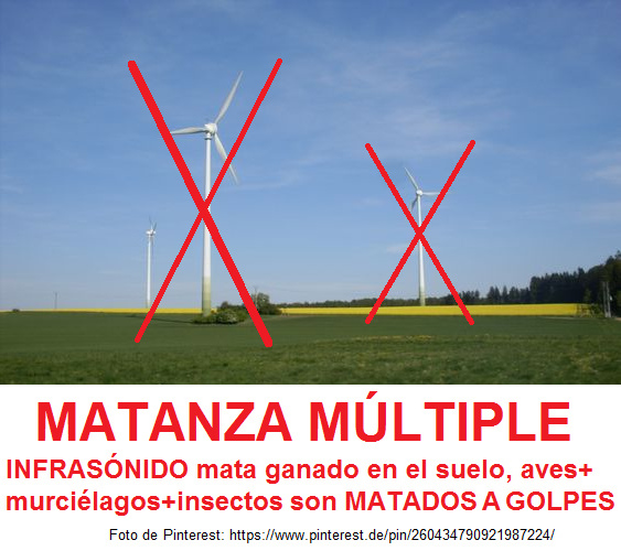 Ventiladores aerogeneradores matan por
ultrasónido el ganado en el piso, y matan a golpes
millones de aves, millones de murciélagos y millones
de insectos por día Ventiladores
aerogeneradores matan por ultrasónido el ganado en
el piso, y matan a golpes millones de aves, millones
de murciélagos y millones de insectos por día