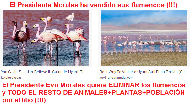 En 2018 en Berl�n, Evo Morales ha
                vendido todos sus flamencos y toda la flora y fauna del
                salar de Uyuni en Bolivia