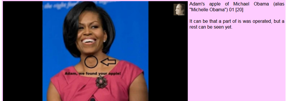 Ladyboy Michel Obama mit einem männlichen
Adamsapfel Ladyboy Michel Obama mit einem
männlichen Adamsapfel