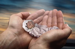 Fehlgeburten (hier symbolisch
                            eine eingewickelte Puppe) h�ufen sich, wenn
                            die Eltern stark Quecksilber ausgesetzt
                            sind