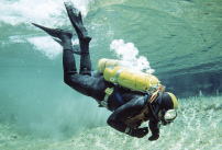 Menschen mit Amalgam m�ssen
                            eigentlich immer aus Sauerstoffflaschen mit
                            sauberem Sauerstoff atmen, so wie der
                            Taucher...