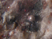 Quecksilber in Naturform in kleinen
                              Tr�pfchen, Moschellandsberg, Pfalz,
                              Deutschland