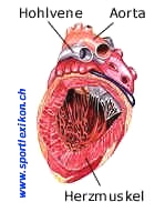 Wenn sich im Herzmuskel
                      Amalgam-Quecksilber anreichert, ist klar, dass der
                      Herzmuskel nicht mehr optimal funktioniert. Aber
                      die rzte wollen diese Logik nicht
                      nachvollziehen...
