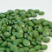 Clorella-Pyrenoidosa-Algentabletten
                                                zum Ausleiten von
                                                Metallen aus Organen