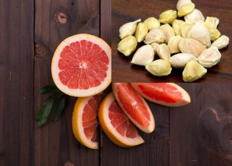 Orange Grapefruits mit Grapefruitkernen Orange Grapefruits mit Grapefruitkernen