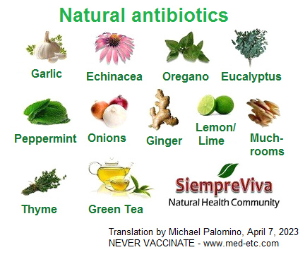 Natural antibiotics: garlic,
echinacea, oregano, eucalyptus, peppermint, onions,
ginger, lemons / limes, mushrooms, thyme, green tea - and
missing in the photo: honey and horseradish Natural antibiotics: garlic, echinacea, oregano,
eucalyptus, peppermint, onions, ginger, lemons / limes,
mushrooms, thyme, green tea - and missing in the photo:
honey and horseradish