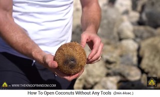 Die frisierte Kokosnuss - so kann man sie im Laden kaufen