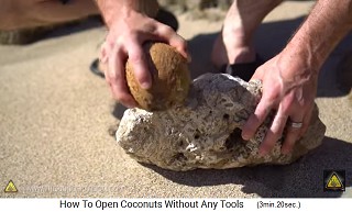 Die Kokosnuss wird am Bruchpunkt gegen eine Steinkante geschlagen