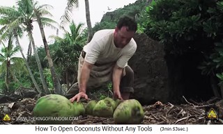Es gibt auch grne Kokosnsse