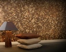 Tiled wall of
                  coconut tiles