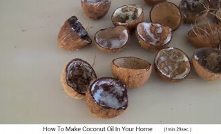 The 24 half coconut shells are now
                    without pulp