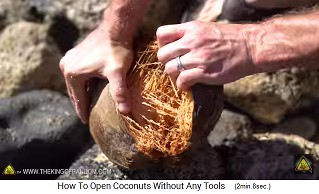 Ahora se puede abrir la capa exterior del coco