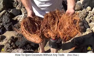 las fibras de coco se puede reutilizar