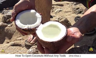 de modo que se obtienen 2 mitades iguales de coco, una es llena de agua de coco y la otra no