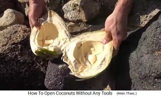 El coco verde abierto tiene mucha pulpa suave, para comer
