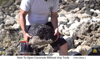 Man nimmt einen grossen Stein,
                um ihn auf die Kokosnuss zu werfen