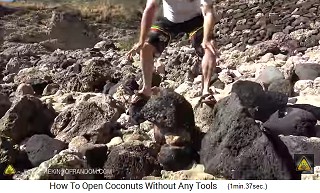 la gran
                  piedra aterriza en la parte superior del coco, esto se
                  repite varias veces