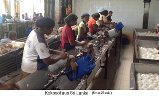 La pulpa (copra)
                    se pela a mano con un cuchillo sobre un tamp�n 01