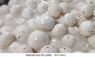 Das
                    gesch�lte Fruchtfleisch (Kopra)