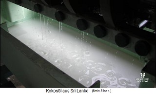 Das Kokos�l wird in einem grossen Becken
                aufgefangen