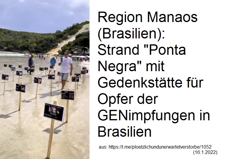 Widerstand Manaos (Brasilien) 16.1.2022: Der
                      Strand "Ponta Negra" wird zum
                      Gedenkstrand für GENimpftote in Brasilien