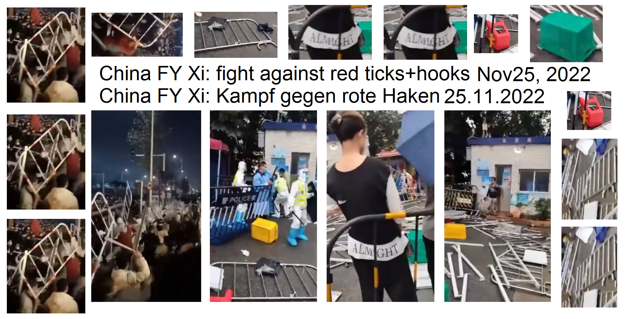 Video: China FY Xi Nov25, 2022: fight ag. red
                    ticks+hooks - Kampf gg. rote Haken (2'35'')