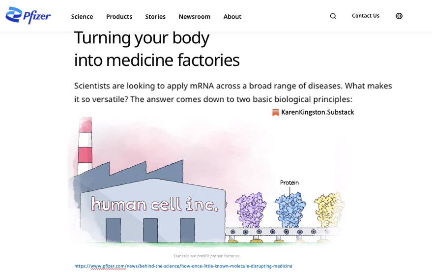 Tödliche Pfizer-"Coronaimpfung"
19.12.2022: Pfizer macht Werbung: Jede/r soll eine
Spike-Fabrik werden Tödliche
Pfizer-"Coronaimpfung" 19.12.2022: Pfizer
macht Werbung: Jede/r soll eine Spike-Fabrik werden