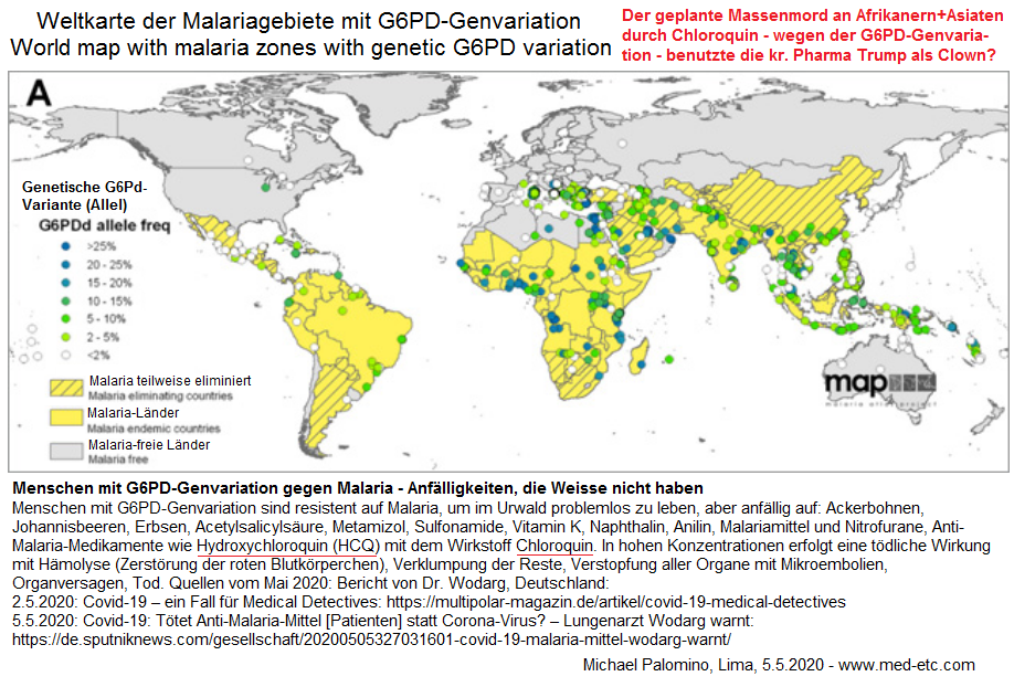 Weltkarte der Malariagebiete, wo Menschen mit
der Malaria-Resistenz leben, die genetische Variation
G6PD (Favismus) Weltkarte der Malariagebiete, wo
Menschen mit der Malaria-Resistenz leben, die
genetische Variation G6PD (Favismus)