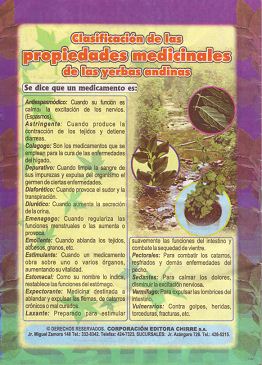 Rckseite von "Plantas que
                                curan" ("Heilpflanzen")
                                des Chirre-Verlags, Lima