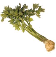 Zur Revitalisierung
                                              des K�rpers und zur
                                              Wiedererlangung der
                                              sexuellen Potenz: Sellerie
                                              essen