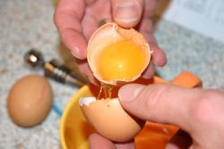 2
                        Eigelb