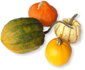 Entschalte K�rbiskerne gegen W�rmer