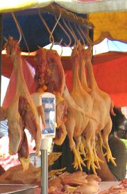 Para reducir reumatismo y cido
                              rico: reducir el consumo de carne, p.e.
                              pollo