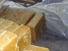 Chancaca [o panela], masa de ca�a de
                              azucar, un elemento contra anemia