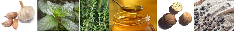Herbs and
                    spices, for example garlic, peppermint, thyme,
                    honey, nutmeg, and black pepper