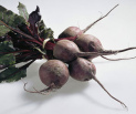 Beetroot extract is acting as a laxative,
                        is strengthening the functions of the liver