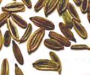 Fennel seed is a remedy against colics,
                        digestion troubles, heartburn; against cough and
                        colic with children; fennel seed are used in
                        many cultures after the meals against flatulence
                        and against indigestion; in South
                        "America" fennel seed is used
                        supporting the flow of breast milk