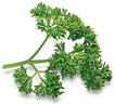Parsley extract supporting stomach
                        activity; antioxidant [preventing cancer],
                        diuretic; supports the excretion of uric acid;
                        is increasing breast milk of lactating women; is
                        inhibiting the release of histamine; is a tonic
                        for uterus muscles