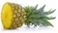 Bromelain in fresh pineapple has got an
                        anti-inflammatory effect, can be used for curing
                        little injuries, above all sprains and strains
                        with muscular injuries, has also an effect
                        against pains and swellings caused by sports; is
                        also working well against angina pectoris,
                        asthma, and urinary tract infections; also
                        against allergies, inflammations, and for
                        postoperative convalescence.