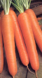 much vitamin A, e.g.
                        in carrots