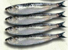 much
                          vitamin B6 is for example in sardines