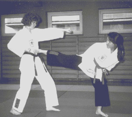 Immune system
              is a defense against disease-causing intruders