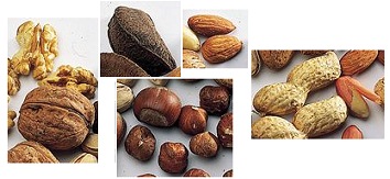 Noix, par exemple noix, noix du Br�sil,
                        amandes, noisettes et arachides