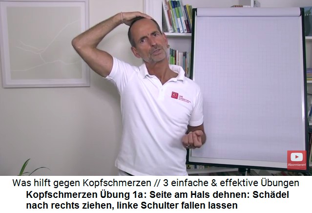 Kopfschmerzen Video 2
                      �bung 1a: Die linke Hals-Seite dehnen: Sch�del
                      nach rechts ziehen, linke Schulter fallenlassen