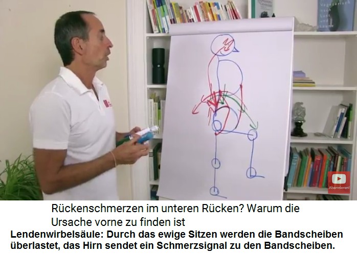 Lendenwirbels�ule: Nach Jahren
                                  der �berlastung der
                                  R�ckenstreckermuskeln und der
                                  Bandscheiben im LWS-Bereich kommt es
                                  zu Schmerzen