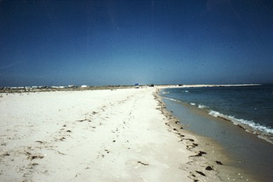 Am Strand den Sand mit den Fssen
                      umgraben