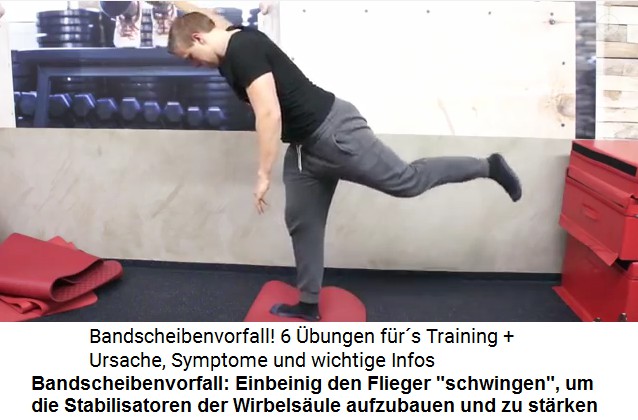 Mit "Fliegerschwingen"
                              kann man die Stabilisatoren der
                              Wirbels�ule aufbauen