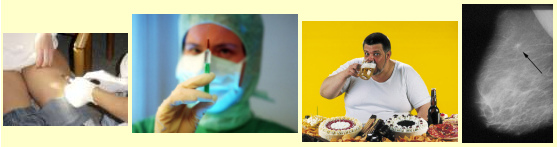 Spritzen mit
                Giften, Fettsucht und Brustkrebs - typische Krankheiten
                der Pharma-"Zivilisation"