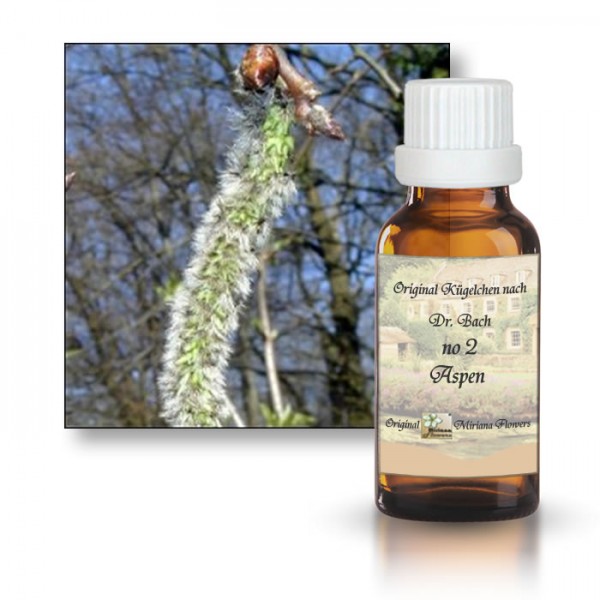 Bachbl�tenessenz Espe / Zitterpappel
                      (Aspen)